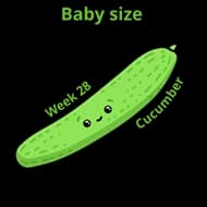 Baby size at 28 weeks cucumber